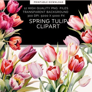 Watercolor Tulips clipart, Watercolor floral clipart png, Watercolor flowers png, Spring flowers , Tulips clipart for wedding invite png