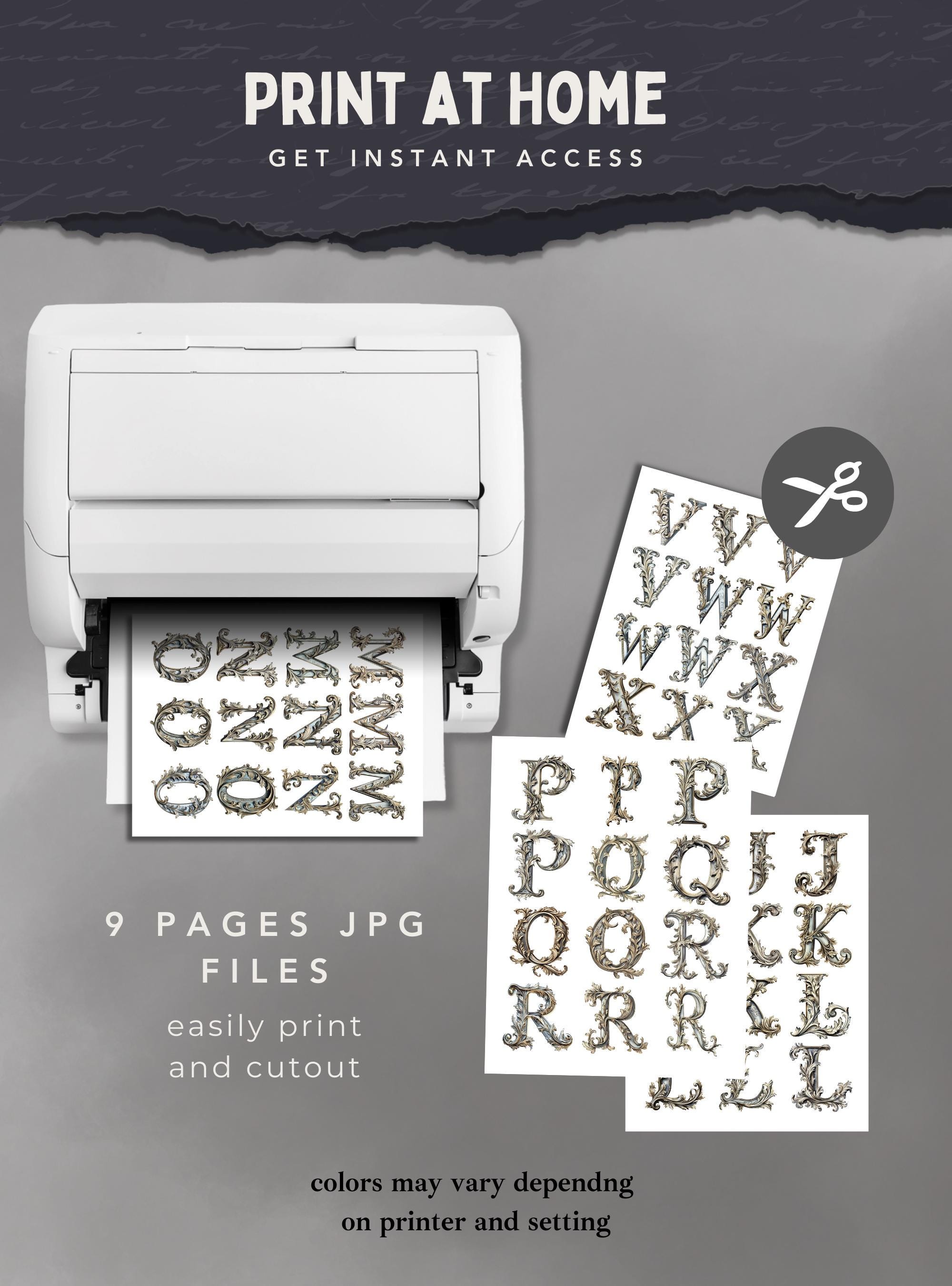 Rococo Cursive Baroque Letter Clipart: Vintage Monogram Font, Rococo Alphabet (PNG ...