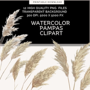 Clipart di erba della pampa / Fiori di erba della pampa fai da te Boho stampabili / Uso commerciale / Clipart di fiori ad acquerello / Clipart di nozze Boho