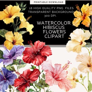 Watercolor Hibiscus Clipart, Tropical Flower PNG Files for Wedding Bouquets, Floral Clip Art Illustration for Wedding, Travel, & Paper Craft