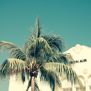 Miami Art Deco, Palm Tree, Instant Download, Digital Print, Minimalist, Modern, Printable, Tropical, Facade, Downloadable, Photography