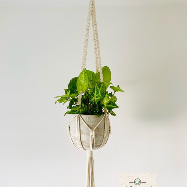 ALICE - Suspension pour plantes en macramé - Plant Hanger