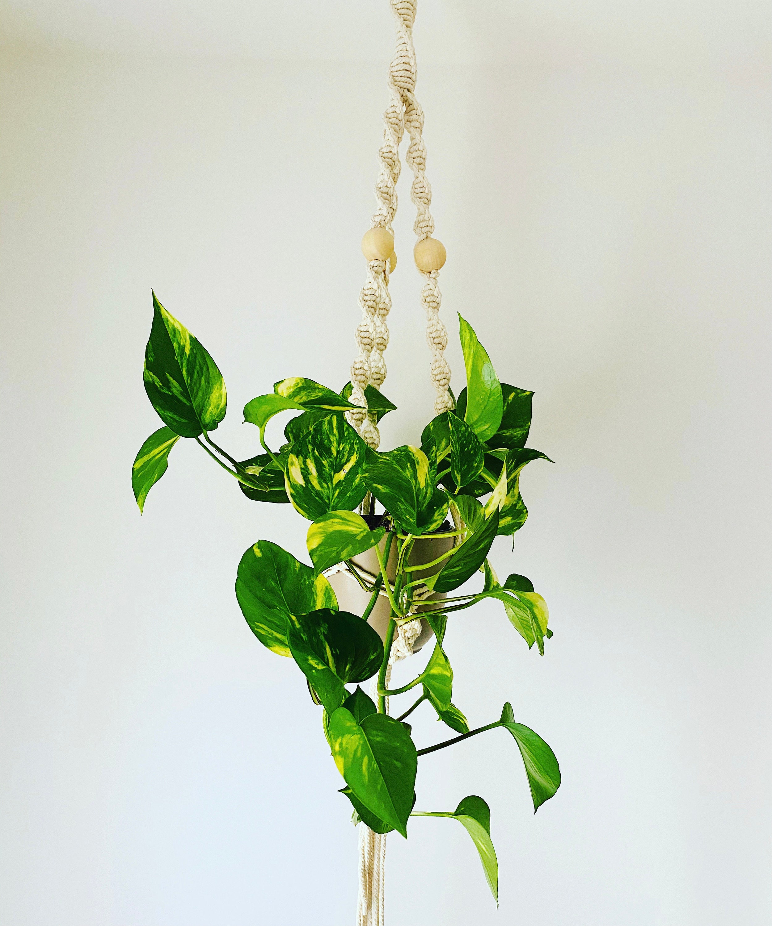 Suspension Pour Plantes en Macramé - Émilie | Plant Hanger