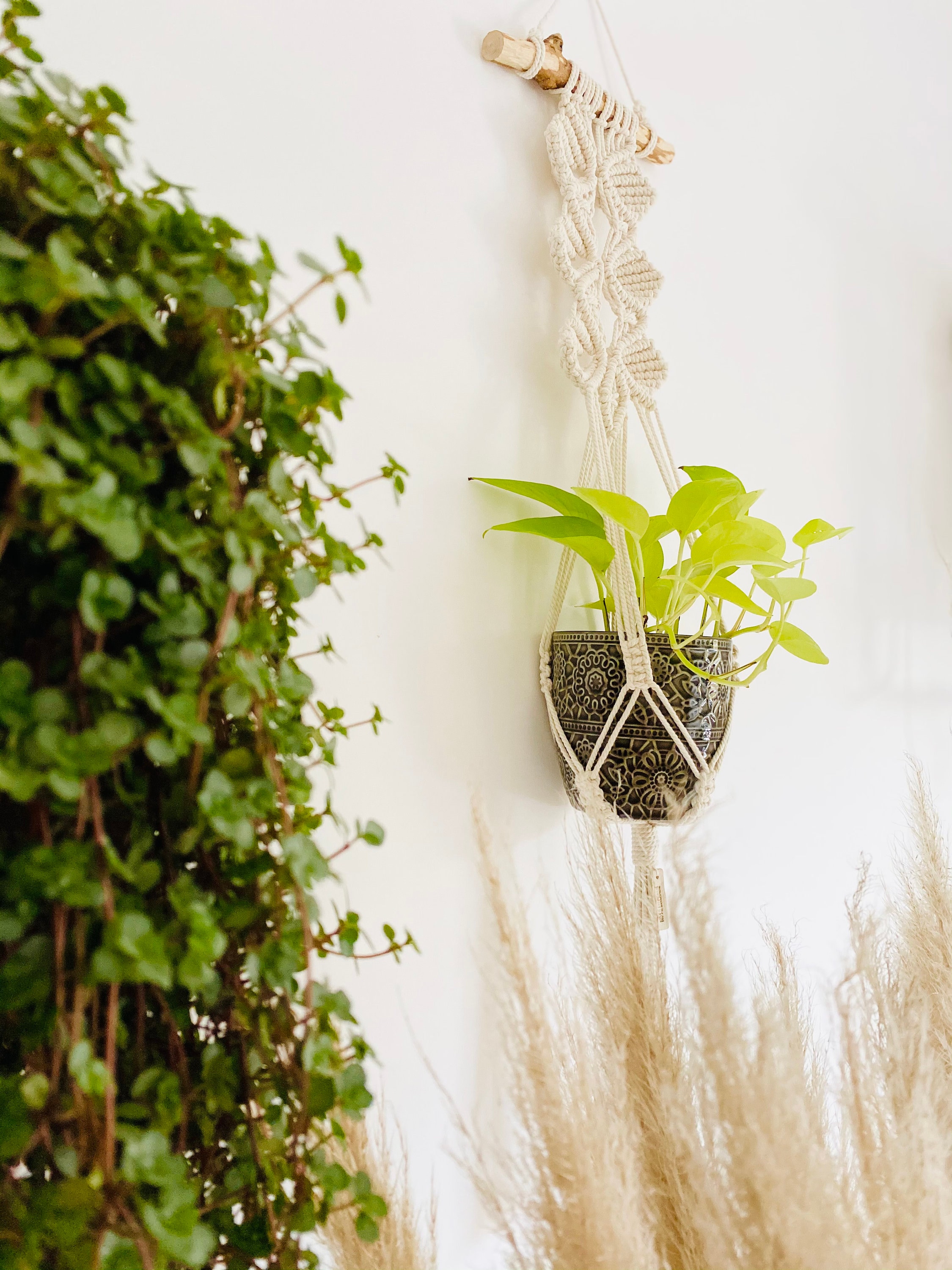 Suspension Pour Plantes en Macramé - Ariel | Plant Hanger