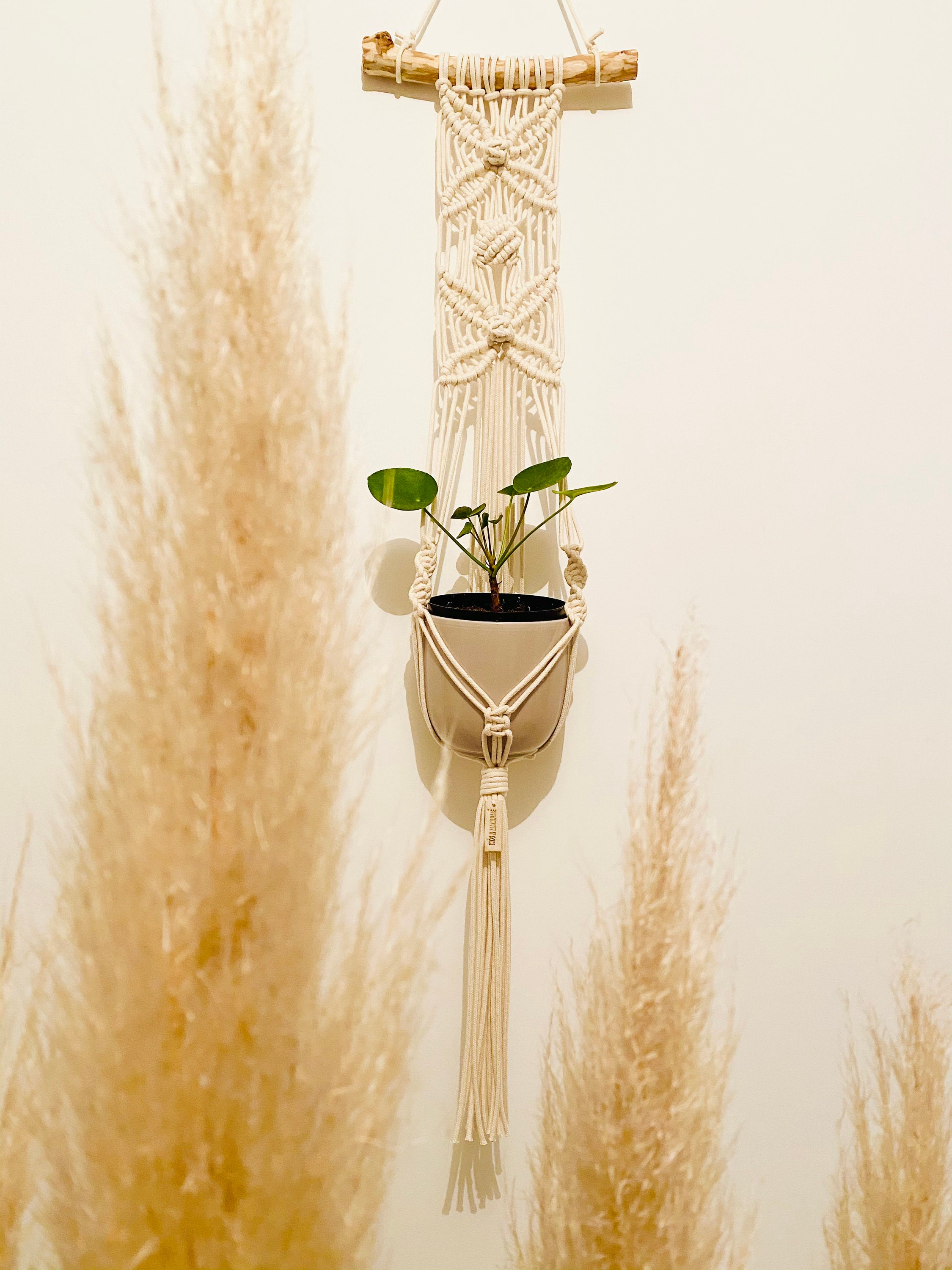 Suspension Pour Plantes en Macramé - Florentine | Plant Hanger