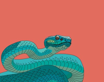 Realistic Viper Snake Drawing Realistic Snake Print White Etsy