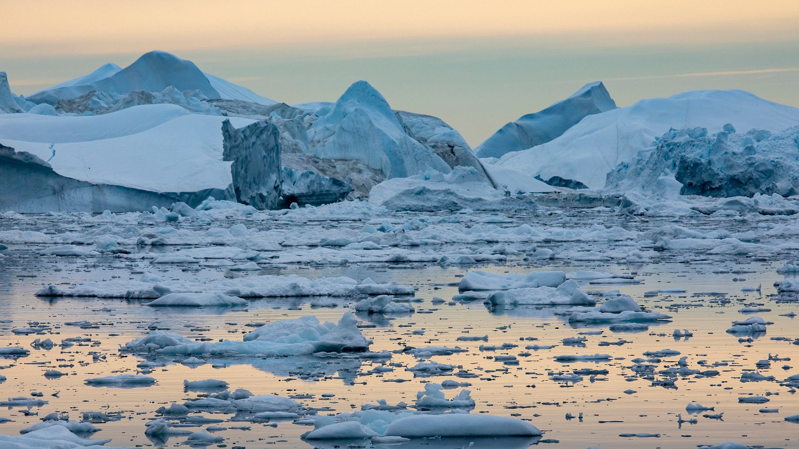 Antarctica Zoom Background