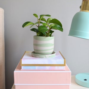 May include: A small potted plant with green leaves sits atop a stack of decorative boxes. The plant is in a green and white striped pot with a matching saucer. A mint green desk lamp with a gold accent is to the right.