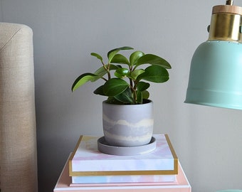 NEW: Purple Swirl Planter,  Concrete Pot, Medium Ceramic Planter with Drainage, 4 Inch Plant Pot, Small Plant Pot, Plant Pot