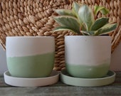 NEW Mint Majesty Concrete Planter, Neutral Concrete Pot, Medium Concrete Planter with Drainage, 4 Inch Pots for Plants, Small Plant Pot,