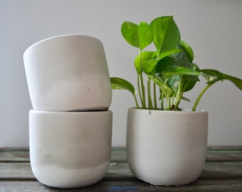 Gray and White Concrete Plant Pot