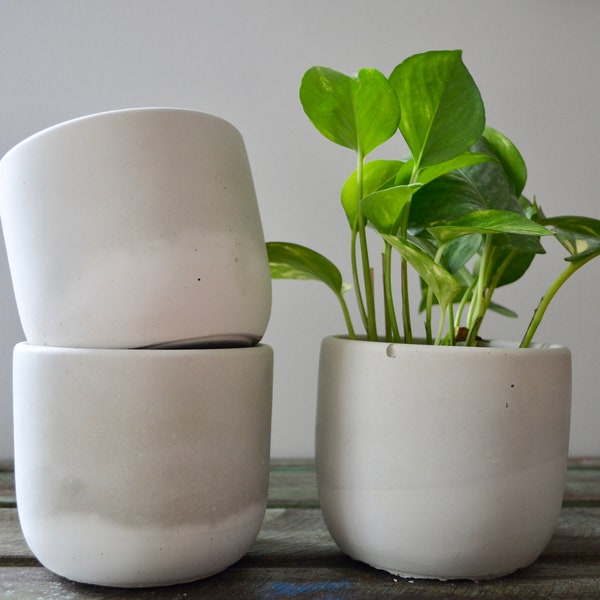 Gray and White Concrete Plant Pot