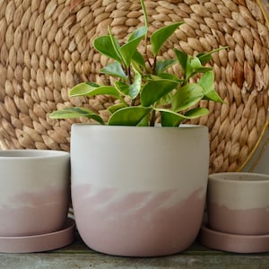 Pink Peony Concrete Planter with Drainage hole