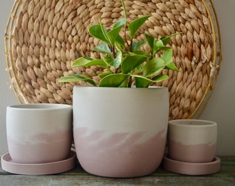 Pink Peony Concrete Planter with Drainage hole
