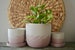 Pink Peony Concrete Planter, Neutral Concrete Pot, Medium Concrete Planter with Drainage, 4 Inch Pots for Plants, Small Plant Pot, 