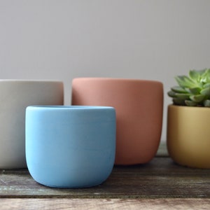 Colored Concrete Planter