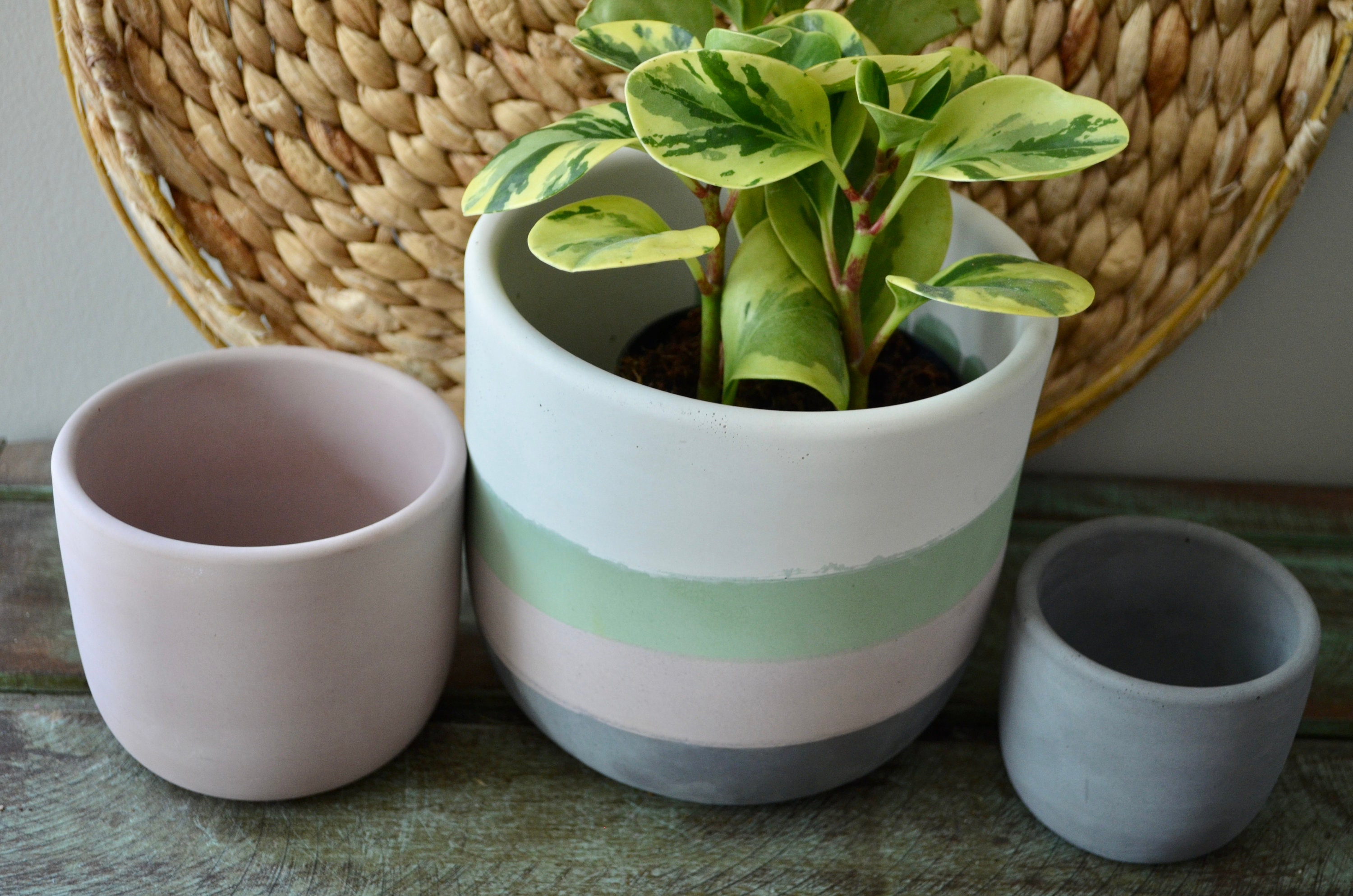 PINK Colored Concrete Planter Concrete Plant Pot Concrete Etsy