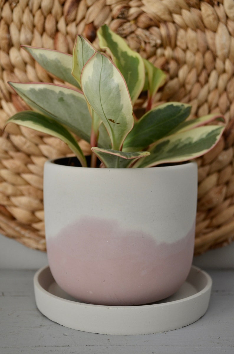 NEW: Pink Peony Concrete Planter, Neutral Concrete Pot, Medium Concrete Planter with Drainage, 4 Inch Pots for Plants, Small Plant Pot,