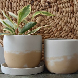 Desert Dunes Concrete Plant Pot