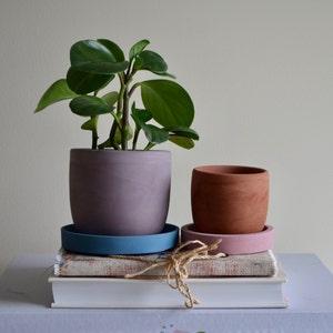 May include: A potted plant with green leaves in a lavender-colored pot, sitting on a blue saucer. Next to it is a terracotta pot on a pink saucer. The pots are on a stack of books tied with twine.
