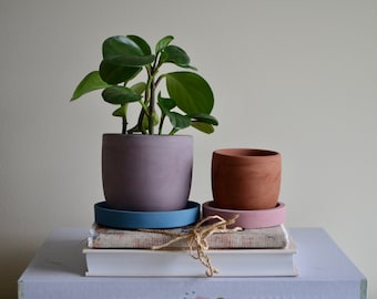 Deep Purple Concrete Planter