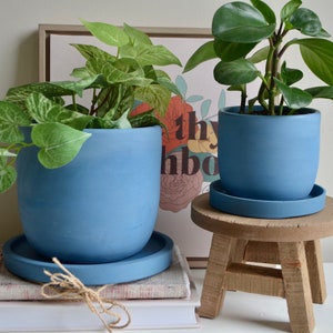 May include: Two blue ceramic planters with plants, one on a wooden stool. The planter on the left has a leafy plant with white variegation. The planter on the right has a leafy plant with dark green leaves. The stool is made of natural wood and has a rustic finish. The background is a white wall with a framed print of flowers and the word "thy" and "hbo" visible.