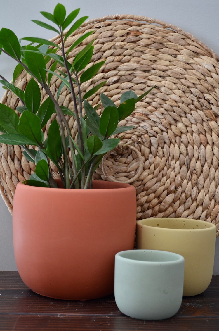 Free shipping at half price NEW Large Concrete Planter