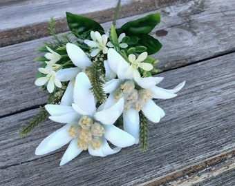 Edelweiss Pick, Flower of Love from the Sound of Music