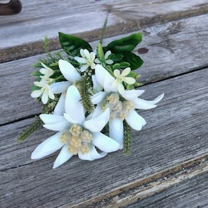 Edelweiss Pick, Flower of Love from the Sound of Music