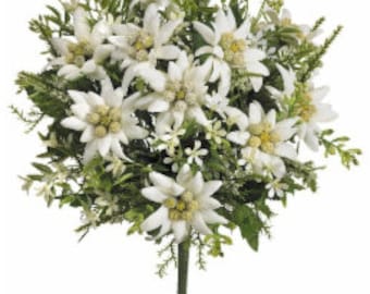 Beautiful Silk Edelweiss flower bouquet