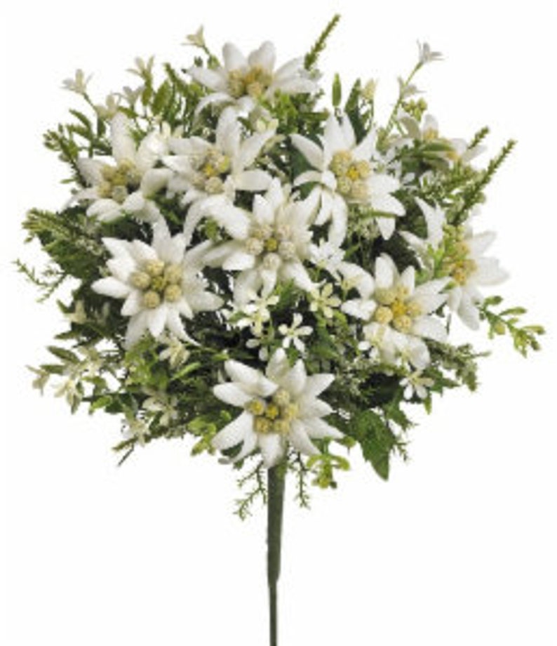 Beautiful Silk Edelweiss flower bouquet image 1