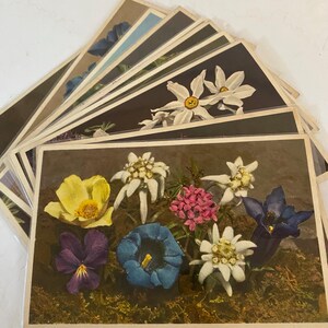 Vintage Floral Swiss Postcards, Edition Stahli,  Marked STF, Swiss Tourism Federation. Lot Of 10
