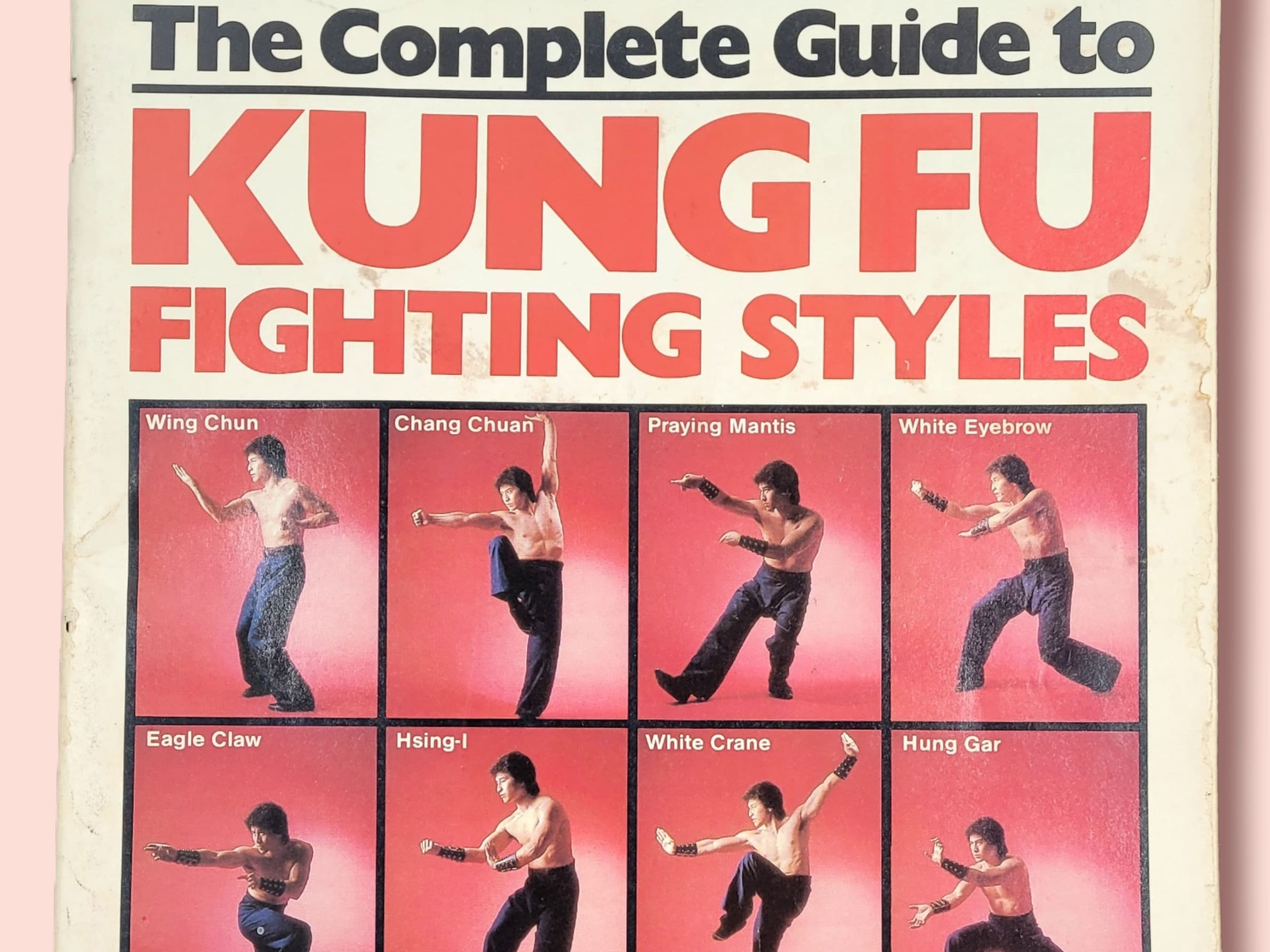 THE COMPLETE GUIDE TO KUNG FU FIGHTING STYLES EAGLE CLAW WHITE CRANE  MARTIAL ART