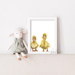 May include: A white framed print featuring a watercolour illustration of two yellow ducklings against a white background.