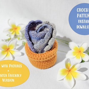 Crochet Flower Coaster and Terracotta Flower Pot - Crochet PATTERN ONLY