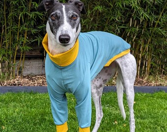 Blas & Co Greyhound Jumper - Greyhound Clothing - Duo Green and Yellow