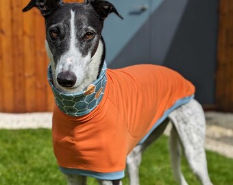 Blas & Co Sweet As Can Bee Hound T-shirt - Greyhound Whippet T-shirt - Greyhound-kleding