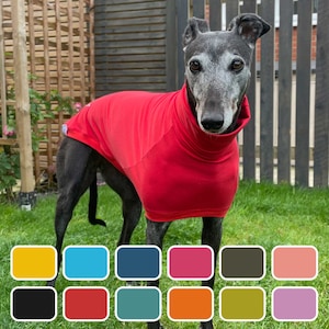 May include: A greyhound dog wearing a red turtleneck sweater in a garden setting. The dog is standing on green grass with a wooden fence in the background. A color palette of 12 colors is displayed below the dog.