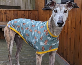 Blas & Co Rainy Days Hound T-shirt - Greyhound Whippet T-shirt - Greyhound-kleding