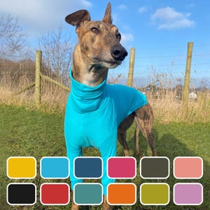 Blas & Co  Greyhound Jumper - Greyhound Clothing - Everyday (12 colours)