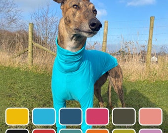 May include: A brown and white dog wearing a turquoise turtleneck sweater. The dog is standing in a grassy field with a wooden fence in the background.