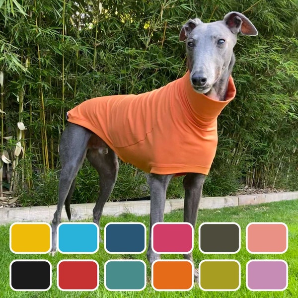 T-shirt Blas & Co Hound - T-shirt de pyjama Greyhound / Whippet - Vêtements Greyhound - Tous les jours (12 couleurs)