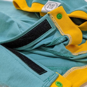 Blas & Co Easy-fit Belly Alteration for Greyhound/Whippet T-shirts