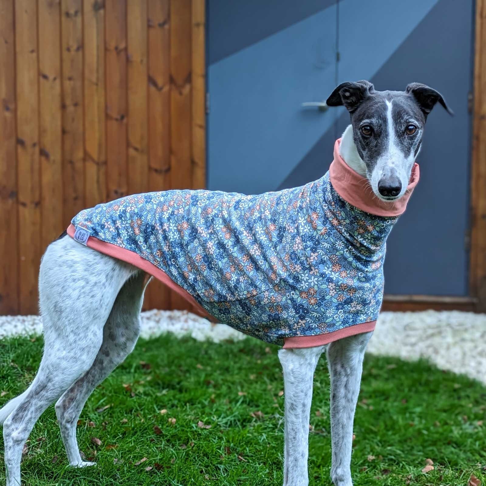 Ladies whippet pyjamas hot sale