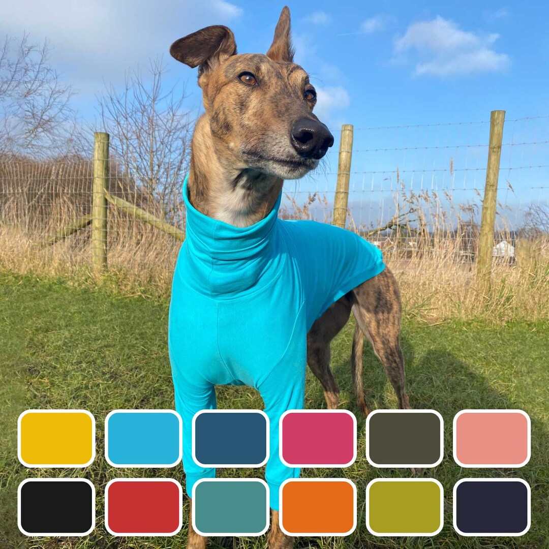 Blas & Co Greyhound Jumper Greyhound Clothing Everyday 12 Colours Etsy