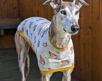 Blas & Co Honey Bears Hound T-shirt - Greyhound Whippet T-shirt - Greyhound-kleding