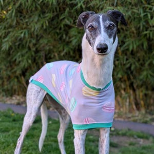 Blas & Co Le Macaron Greyhound / Whippet Pyjamas T-shirt - Greyhound Clothing