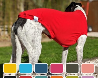 Blas & Co Greyhound / Whippet Vest - Greyhound Clothing - Everyday (12 colours)