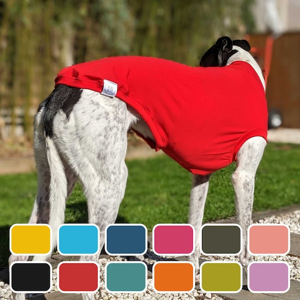 Blas & Co Greyhound / Whippet Vest - Greyhound Clothing - Everyday (12 colours)