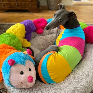 Blas & Co Cuddlepillar Greyhound / Whippet Pyjamas T-shirt - Greyhound Clothing